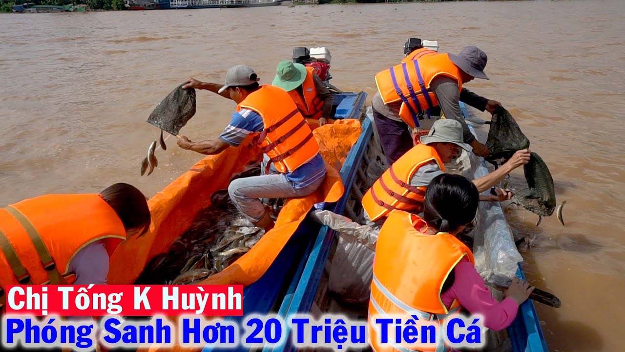 Mua Hết Cá Sống ở Chợ Chắc Cà Đao thả Phóng Sanh hồi Hướng cho Quý Oan Gia được Siêu Thoát