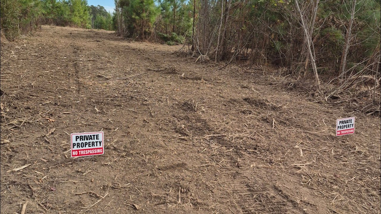  Off Grid Property Updates  #rawland #18acres #homestead 