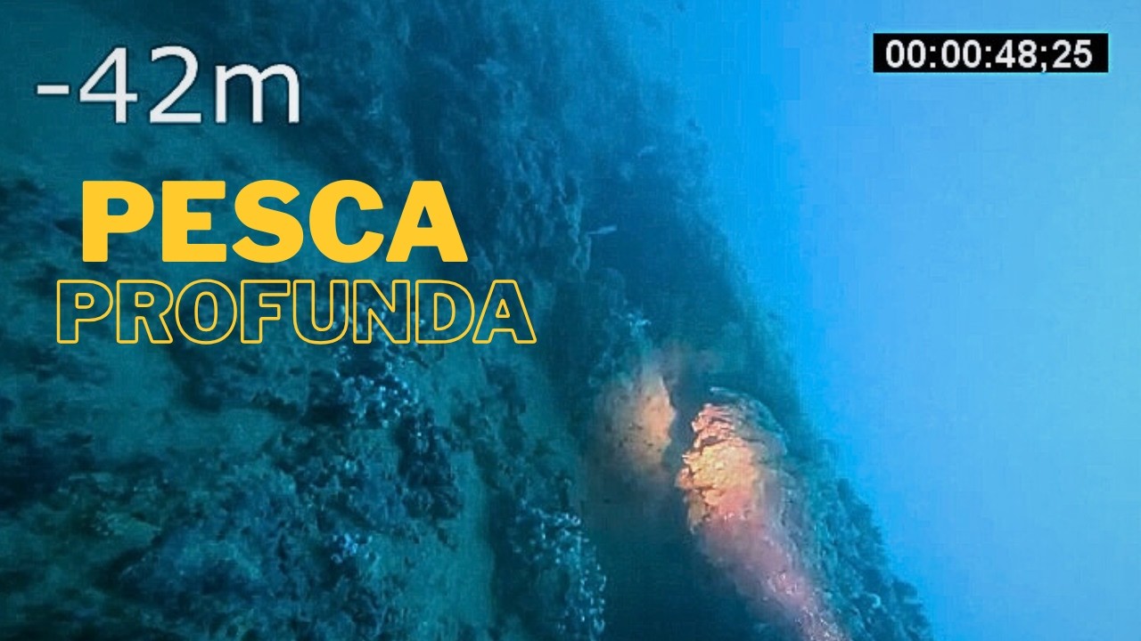 pesca submarina a  42 metros con Enrique Saura
