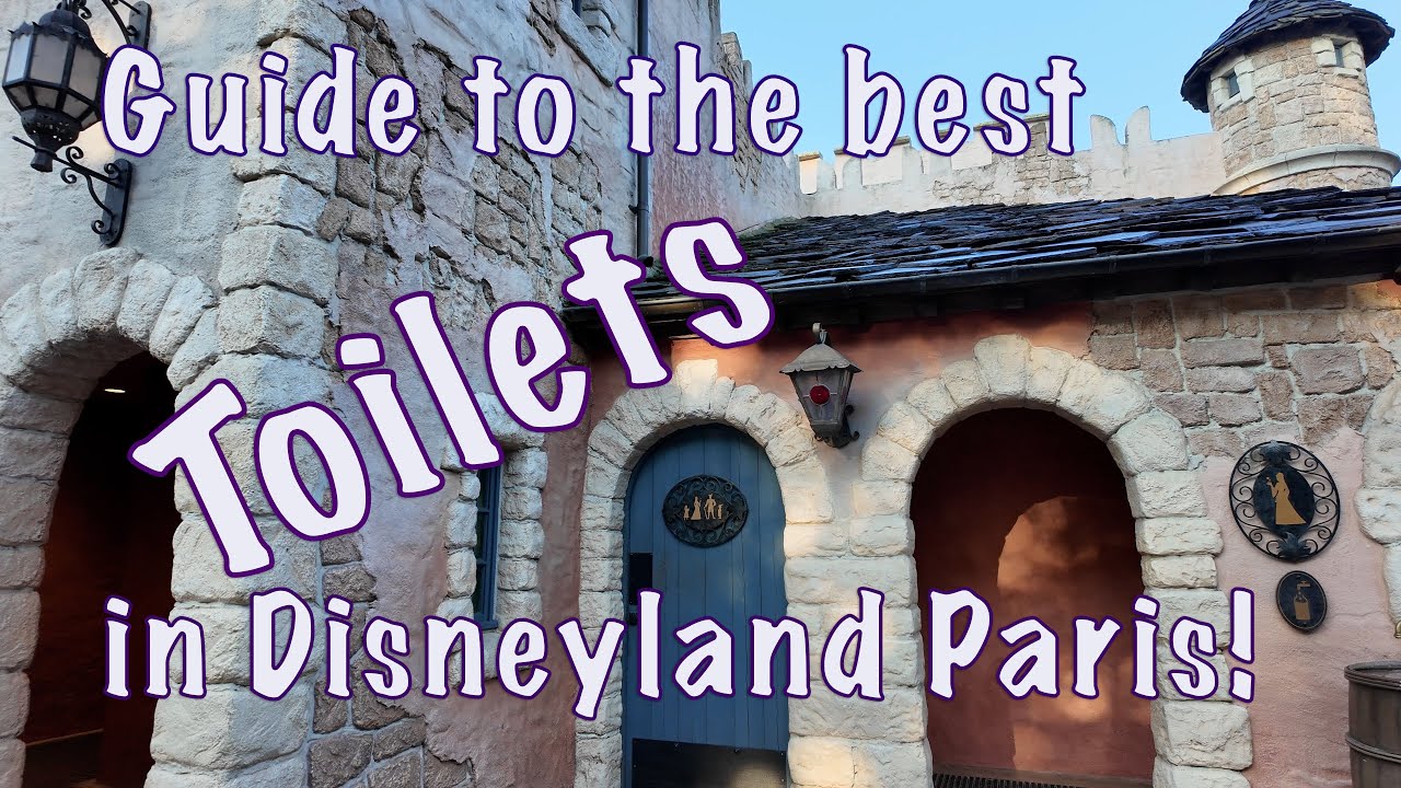 Guide to the Toilets at Disneyland Paris