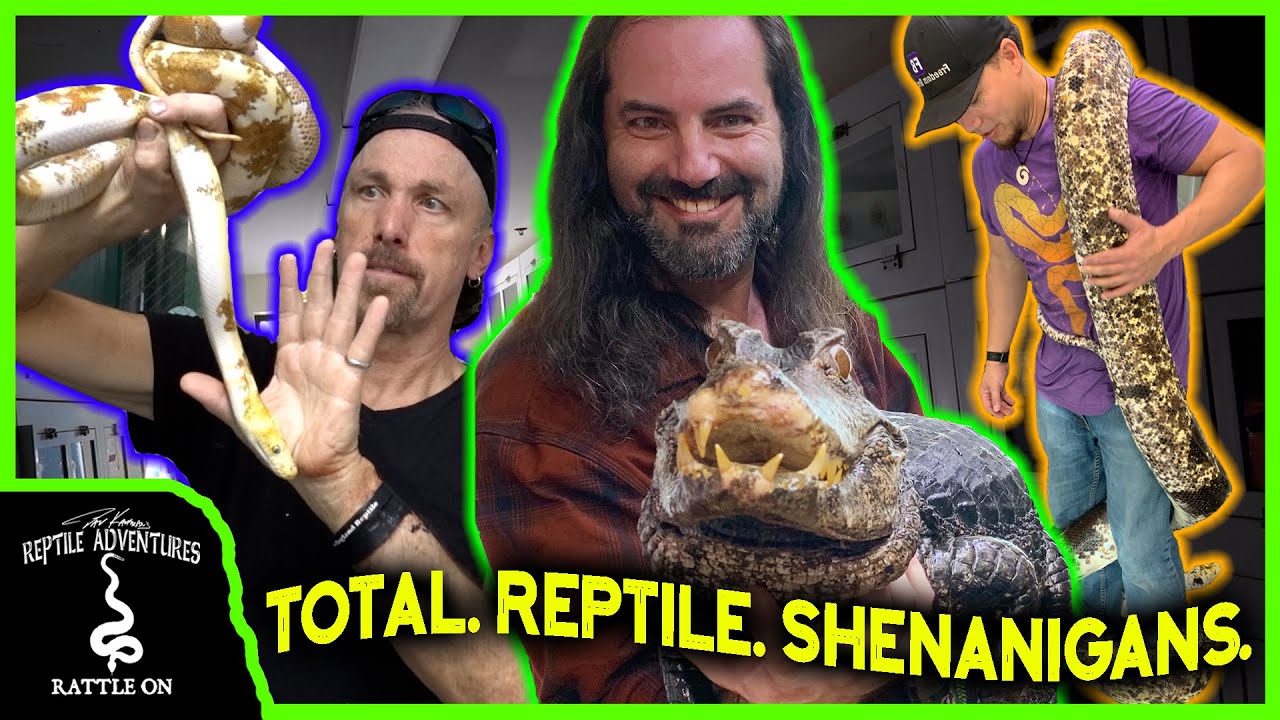 CRAZY REPTILE ROOM TOUR AT NERD! (room by room reptile facility tour)