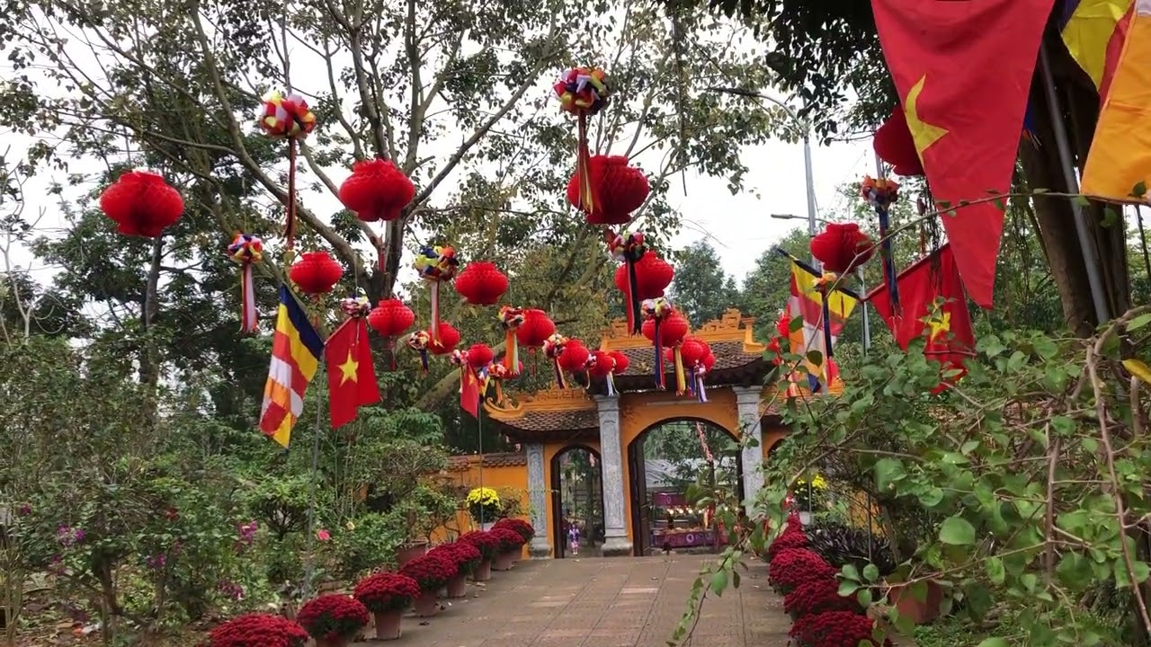 Ngày mùng ba tết trên chùa Khánh Quang thật yên bình.
