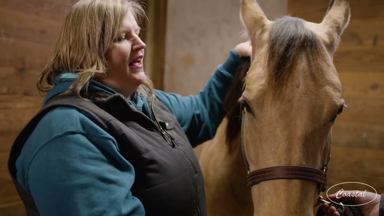 Coastal | Animal Health | Equine Massage