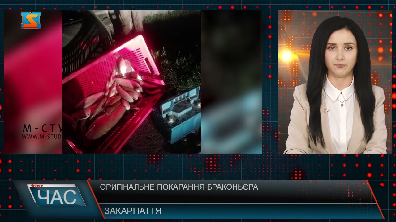 Оригінальне покарання браконьєра. Відповідальність за вчинене