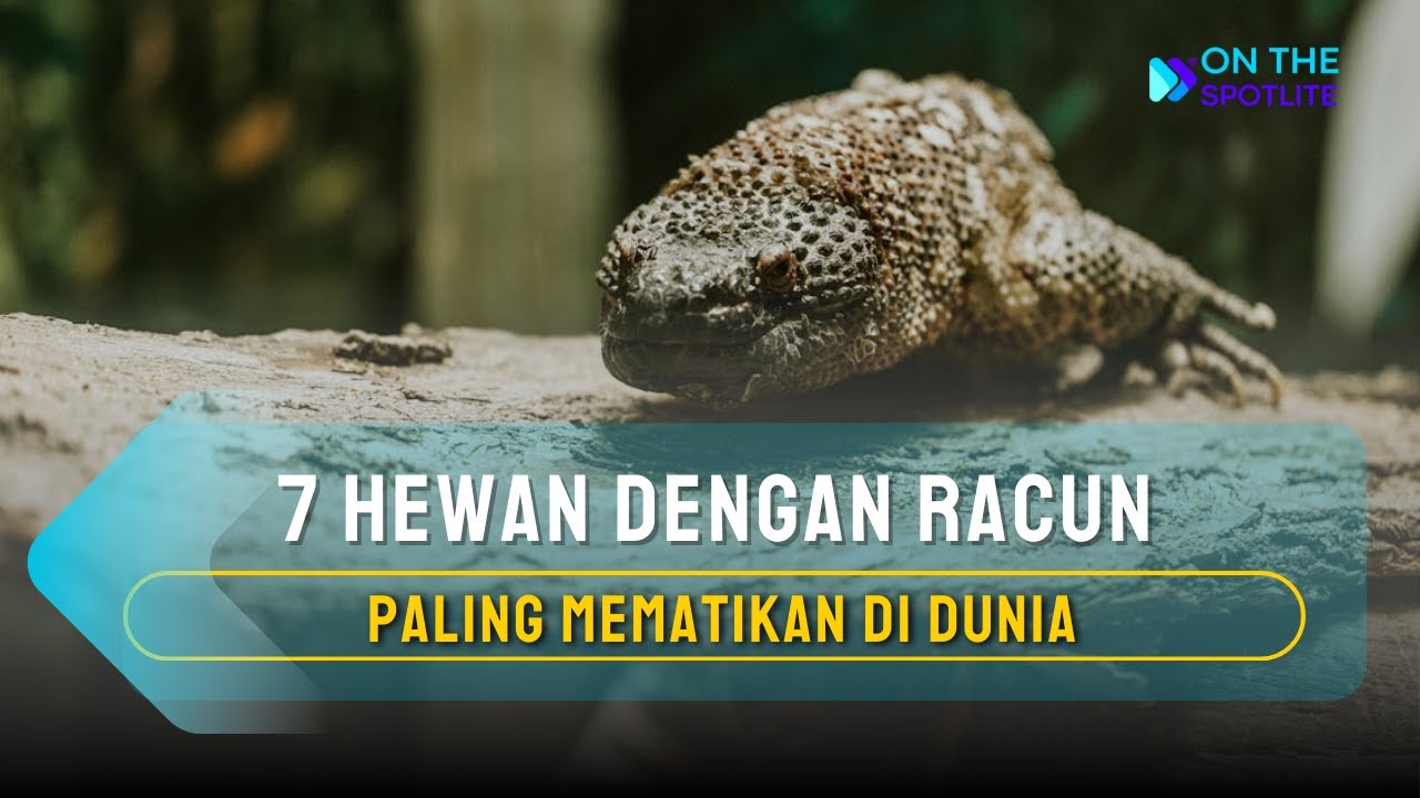 7 Hewan Dengan Racun Paling Mematikan di Dunia - On The Spot Terbaru