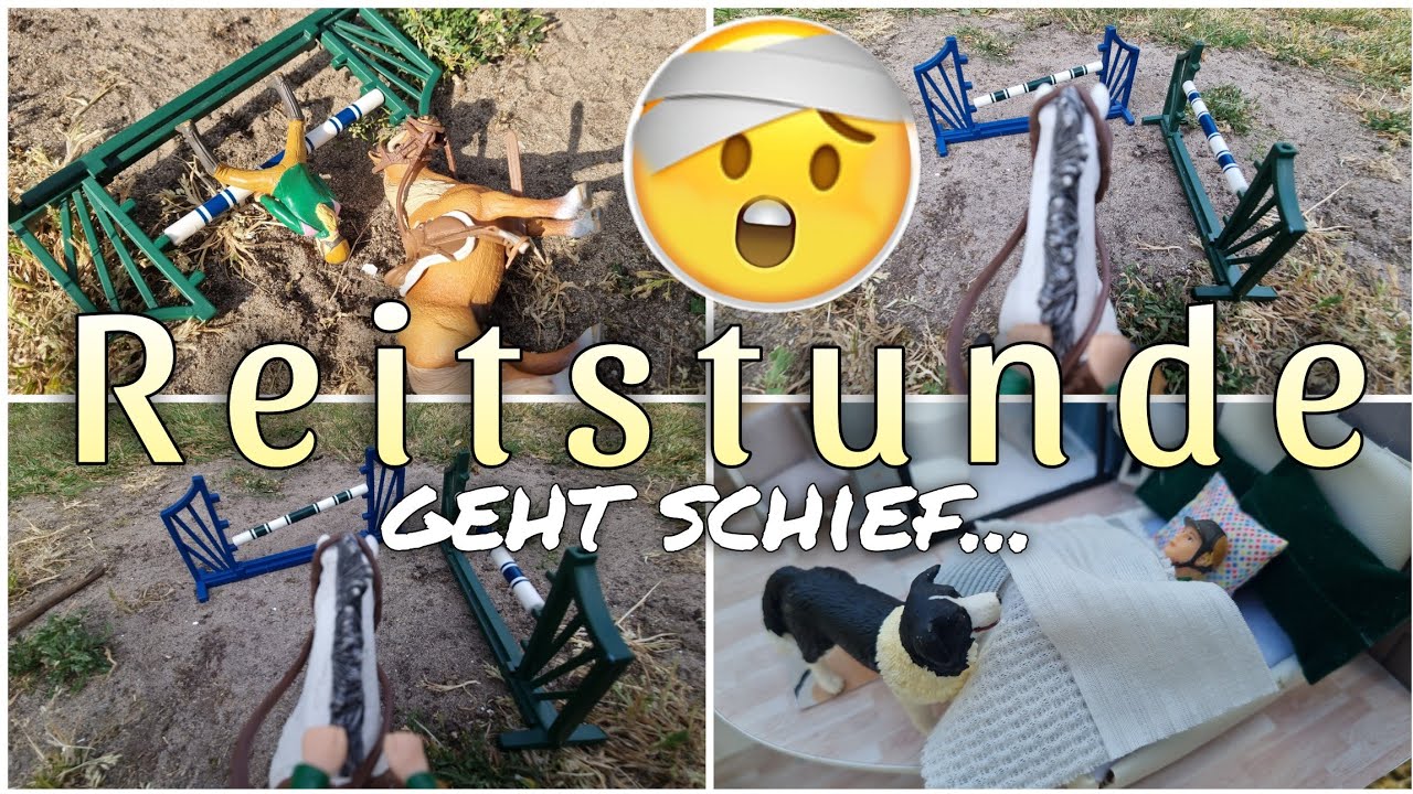 Reitstunde geht schief.. schlimmer Unfall🤕❤️Linas Abenteuer 🌻