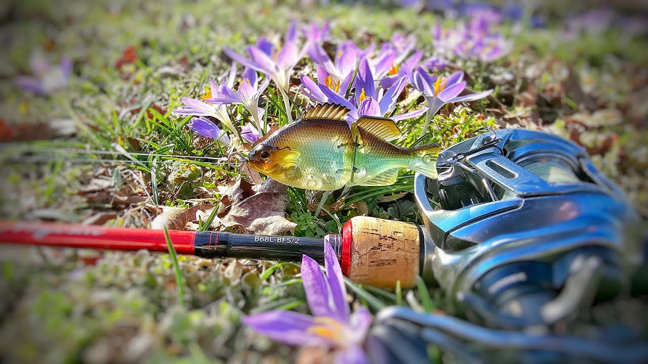 Fishing the D1 Baby Giron Knock off For Winter Pond Bass!