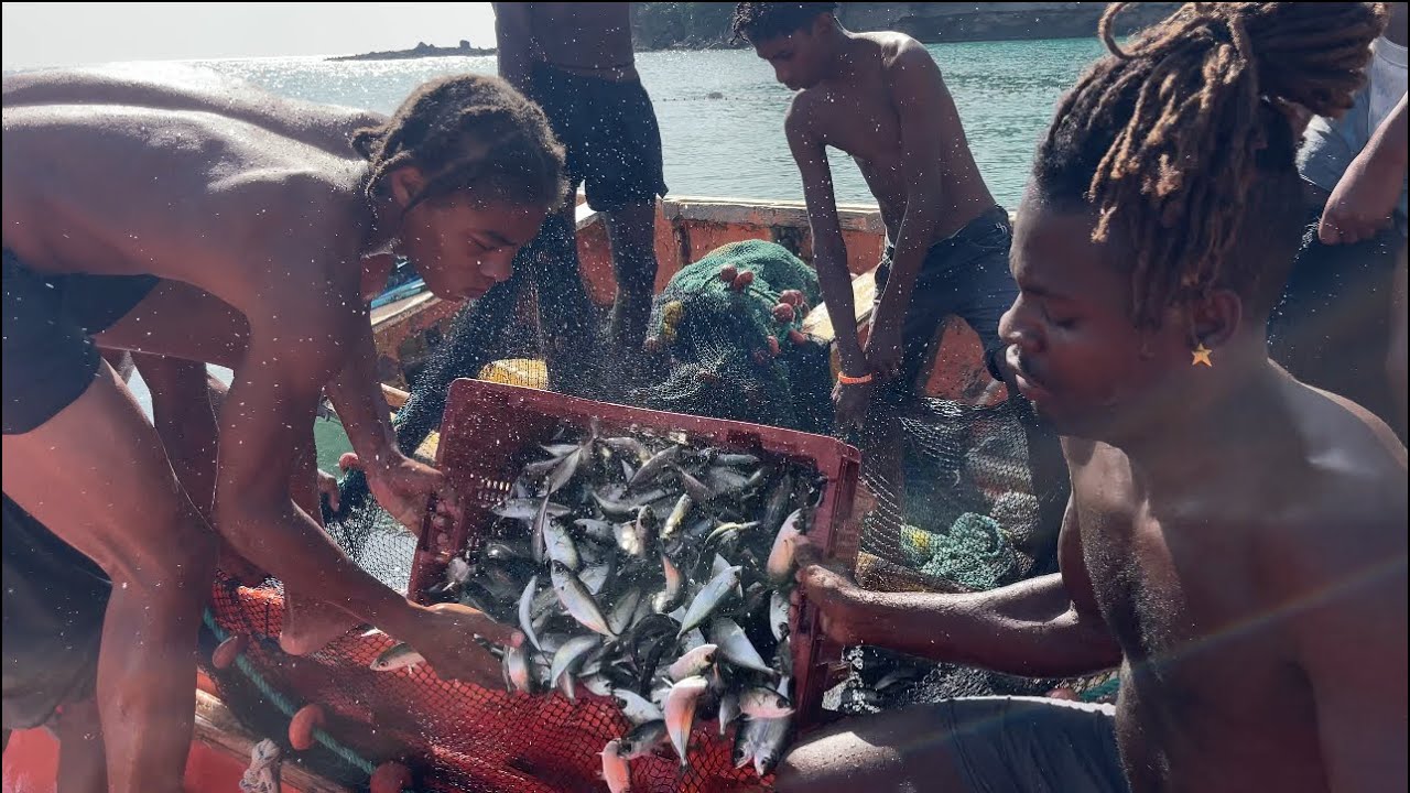 BIG CATCH IN ANSE LA RAYE (MUST WATCH)🇱🇨