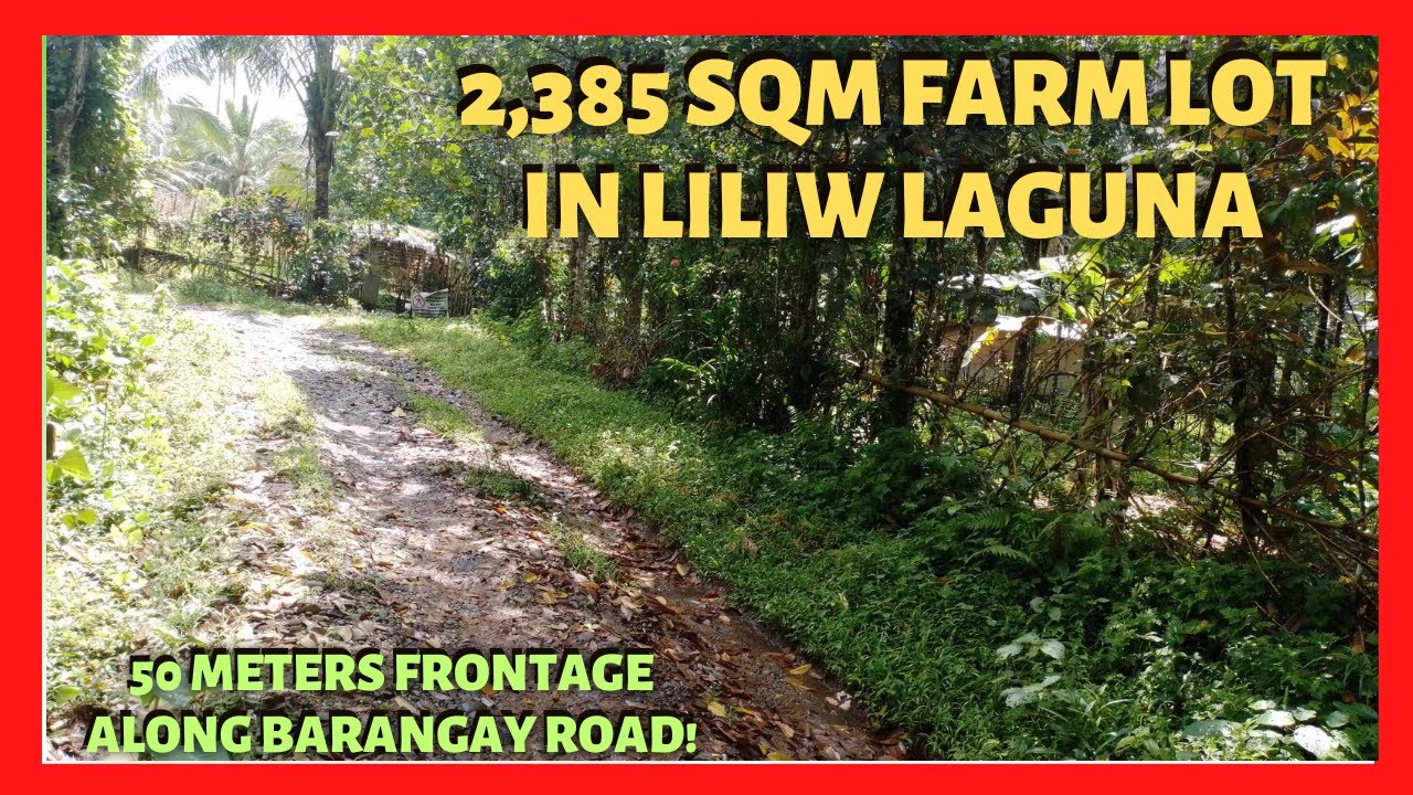 2385 sqm Farm Lot in Liliw Laguna For Sale  (Lot Code 2397)