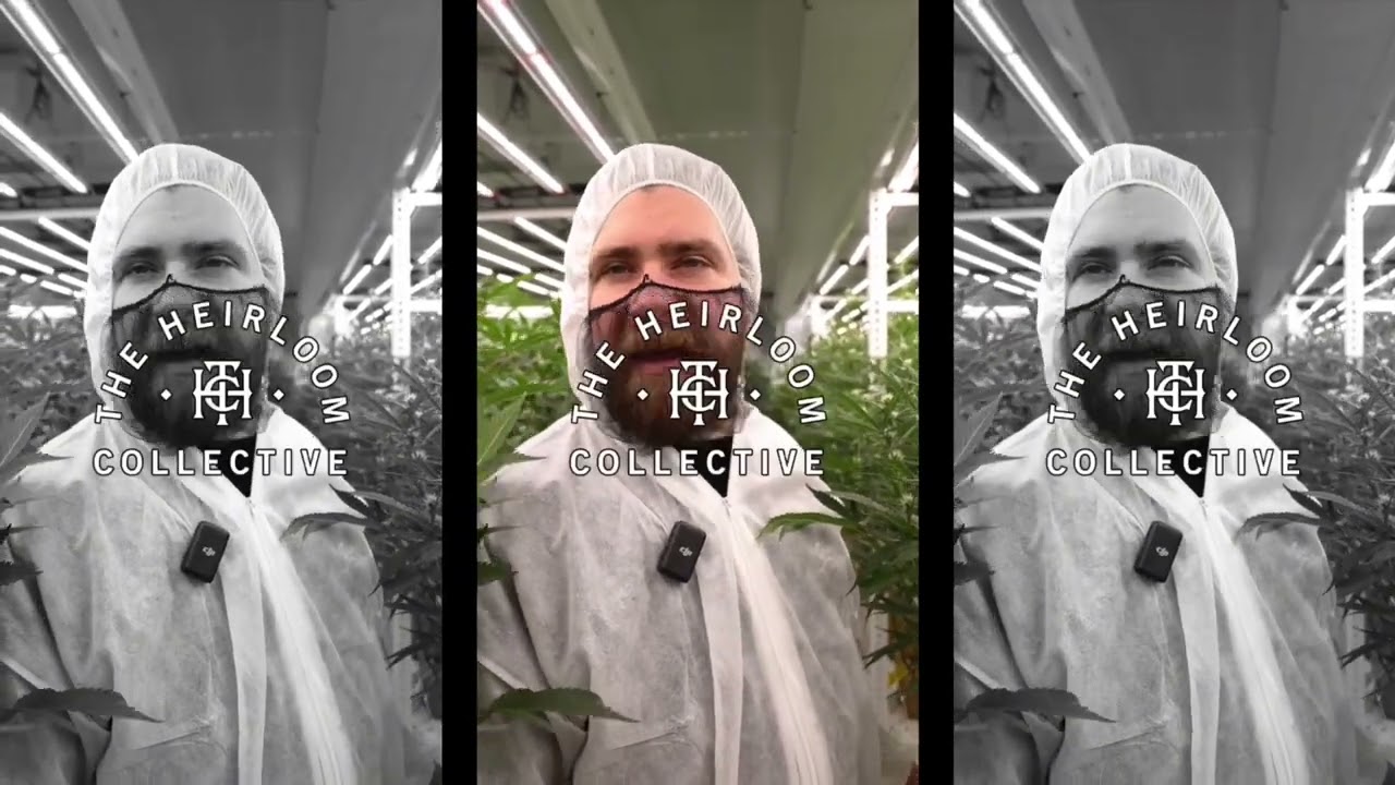 Inside The Heirloom Collective's Grow with The Summit Lounge&rsquo;s Kyle Moon!