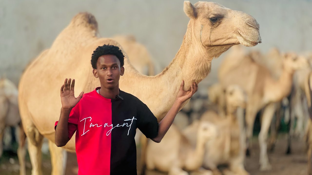 Waa xagee meesha oogu quruxda badan ee loo daLxiiso jigjiga😳 #like #subscribe 