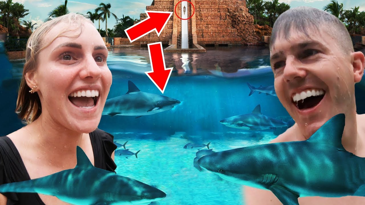 SWIMMING With SHARKS! Disney Cruise 2019!