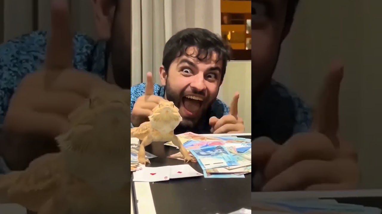 Mi nueva Mascota/Pokemon 🥹