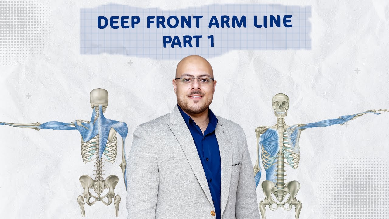 Unlocking the Secrets of the Body's Anatomy Train: Deep Front Arm Line Part 1 | د/ أحمد مبروك