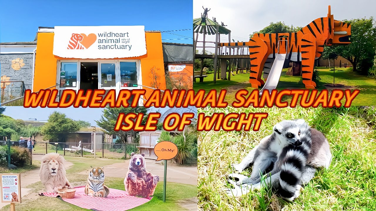 WILDHEART ANIMAL SANCTUARY ISLE OF WIGHT