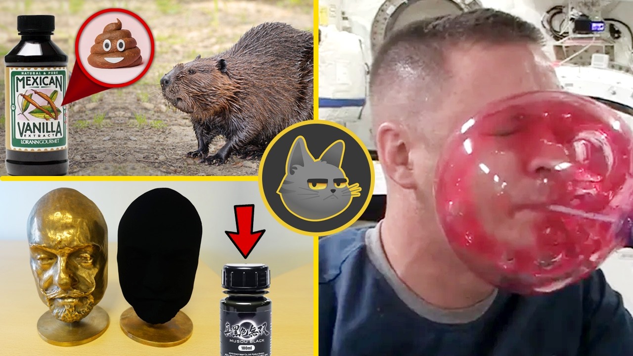 30 Curiosidades Que No Sab&iacute;as En 10 Minutos | 21