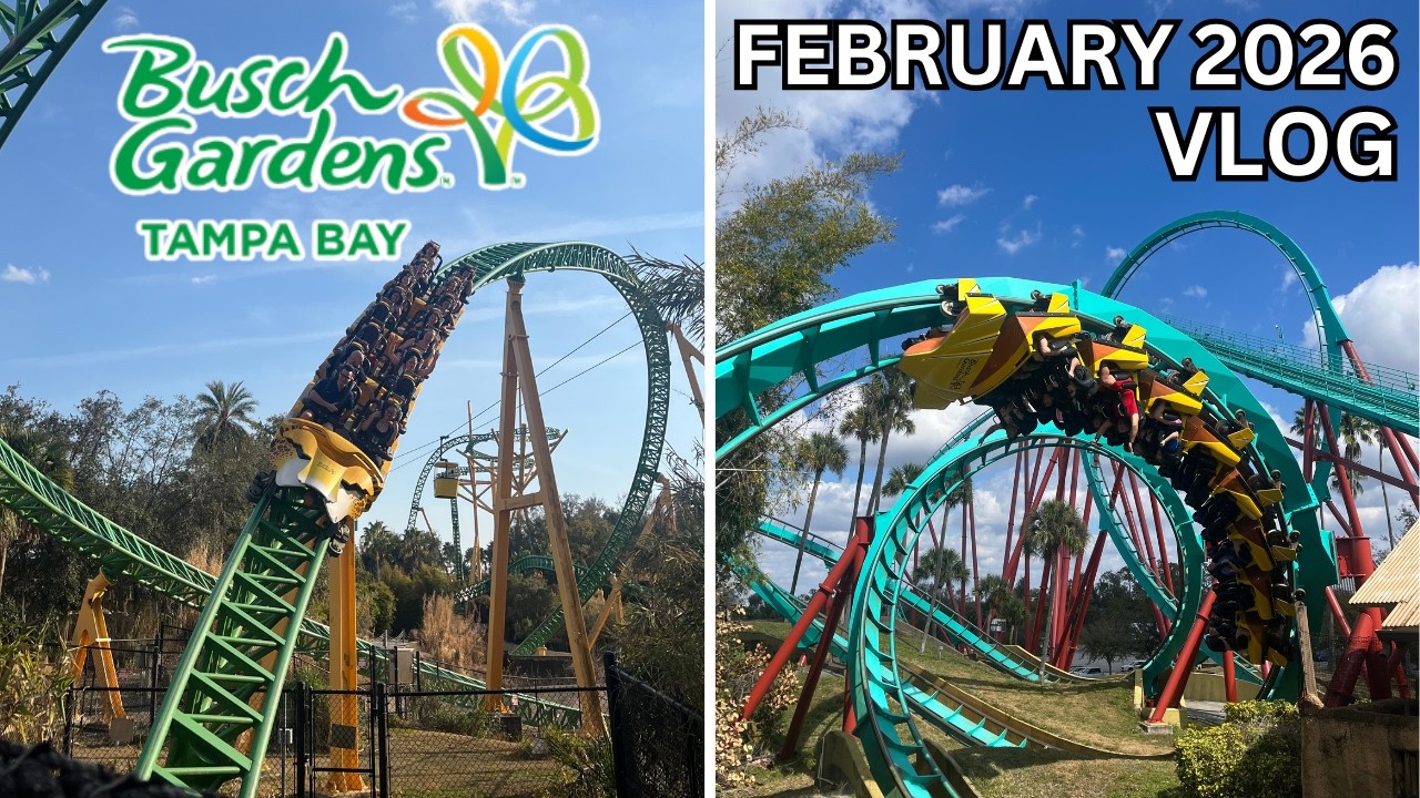 Мой первый визит в парк развлечений Busch Gardens Tampa Bay!! | Февраль 2026 года