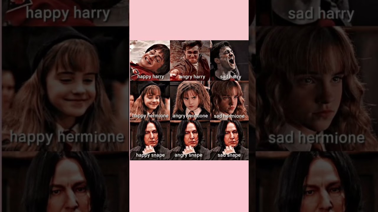 Happy, Angry, Sad – Harry Potter Characters  😂 | Relatable Meme