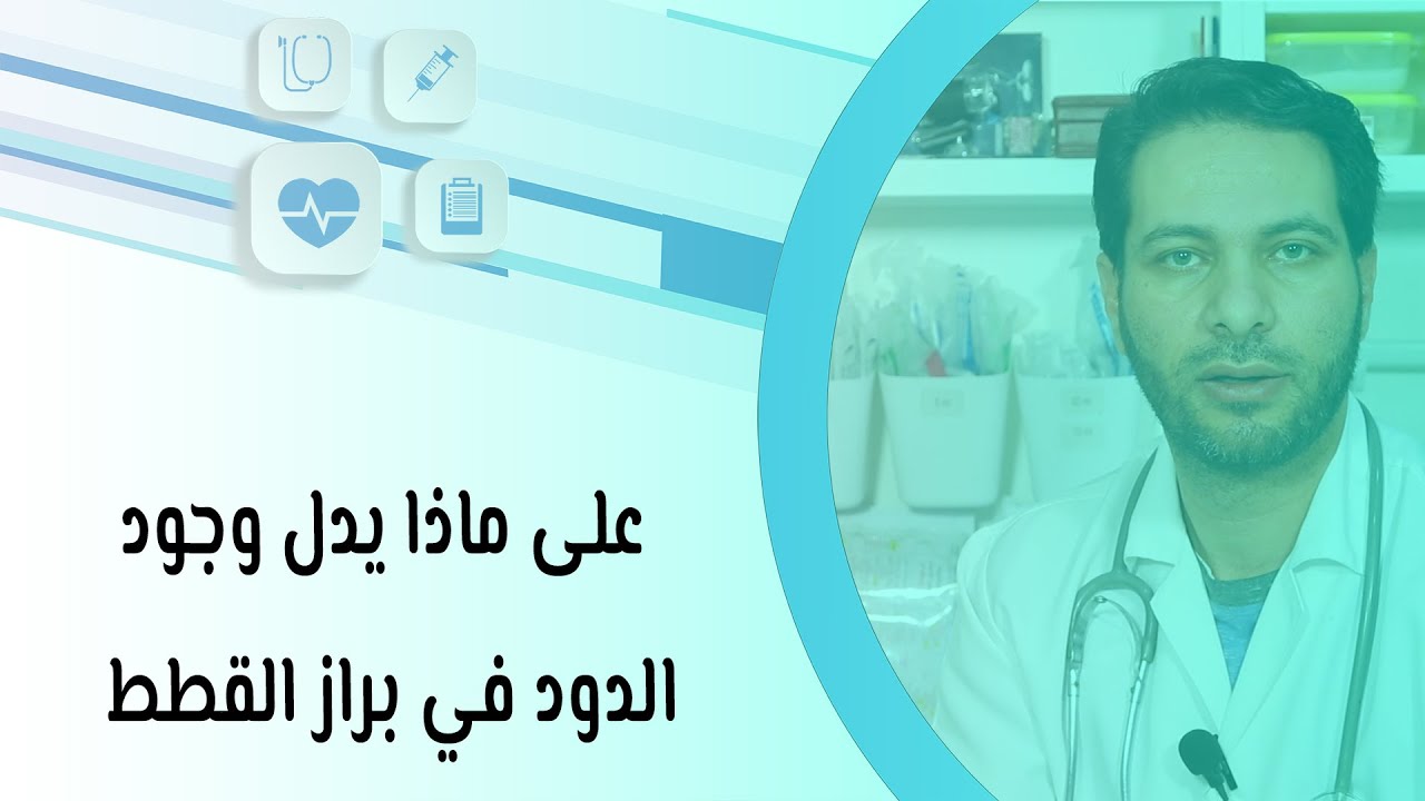 على ماذا يدل وجود الدود في براز القطط