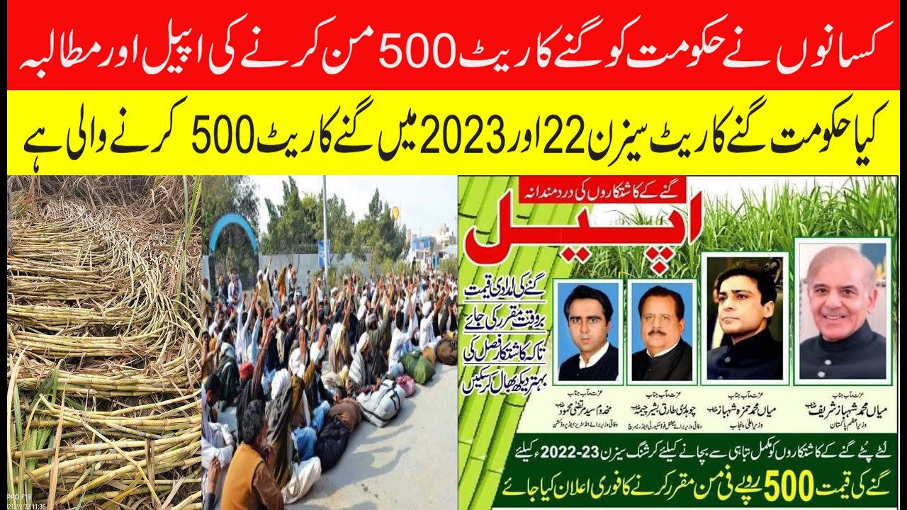 New sugarcane rate 500/- 40kg session 2022/23 | Former appeal for Govt new rate of sugarcane 500
