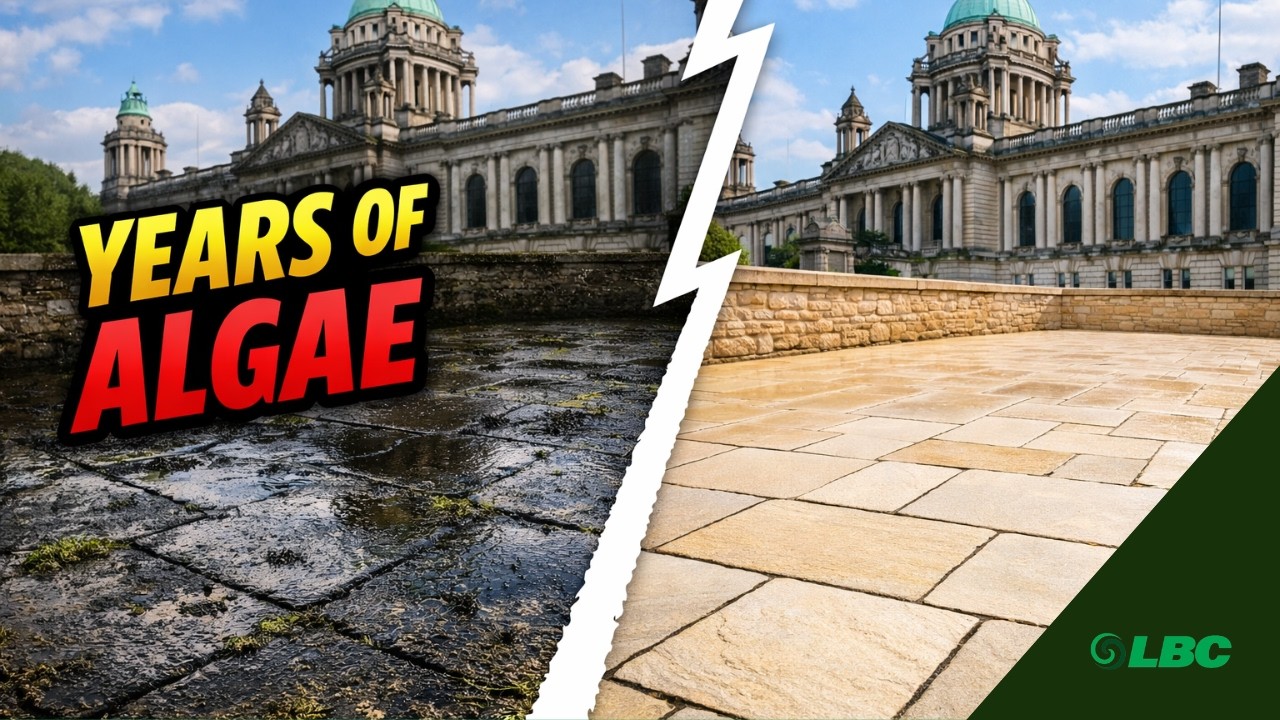 We Cleaned The Queen's 60 Year Old Patio - And They Wanted MORE!