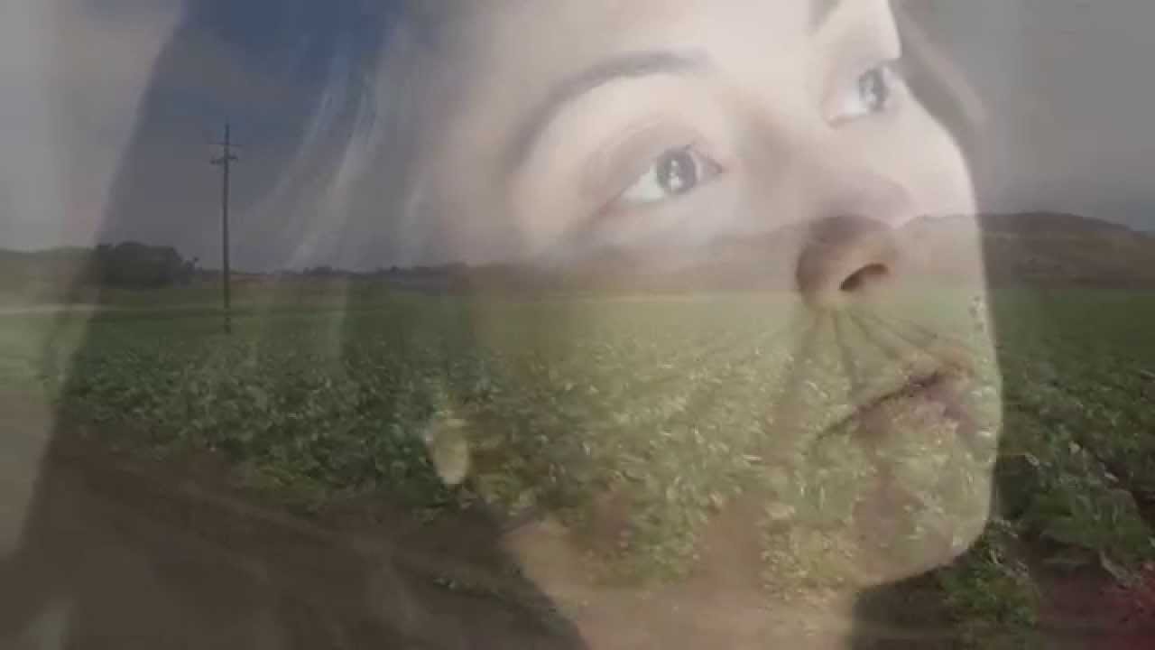 Finder of Lost Objects Book Trailer