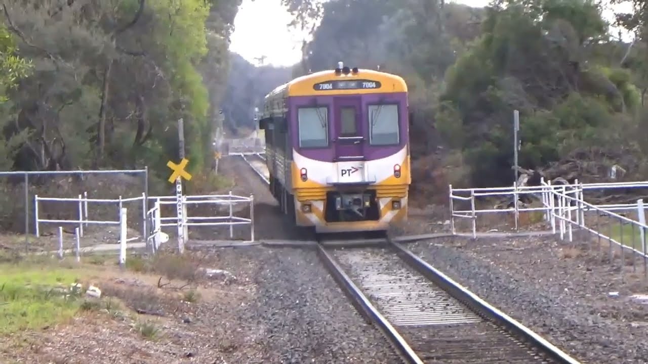 Leawarra (Melbourne Railway Vlog 247)