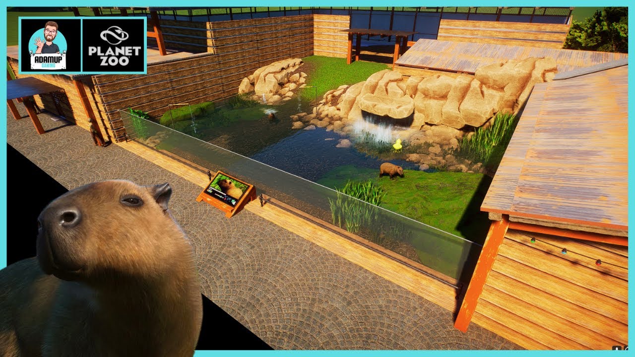 Planet Zoo Capybara Habitat - Simple But Effective Build - Wetlands Animal Pack