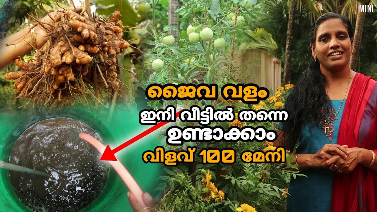 ൈവ സ്ലറി ഇനി വീട്ടിൽ തന്നെ | Jaiva Slurry | Jaiva Valam Organic Manure Preparation at home