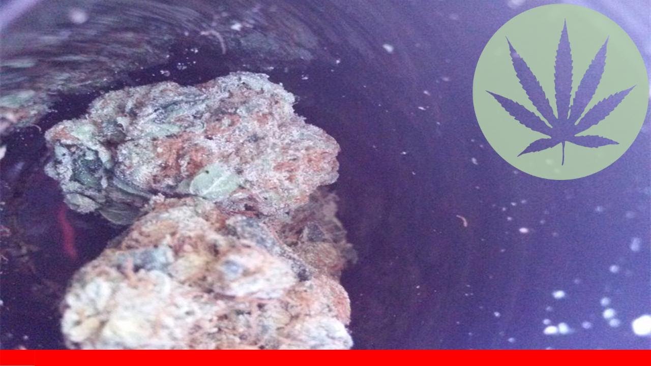 Neptune Og - All About This Strain