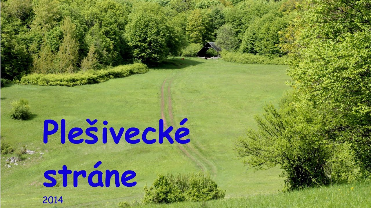 Bludárium - Slovenský kras (Plešivecké stráne)