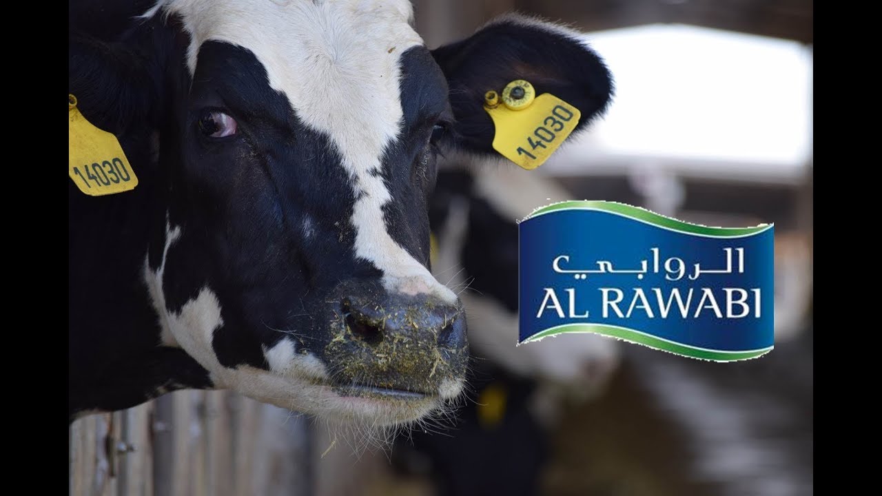 Al Rawabi Dairy Farm Video 2018