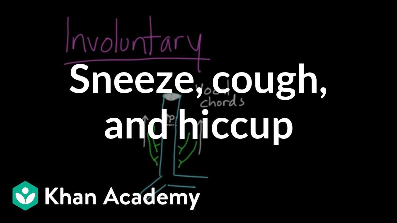 Sneeze, cough, and hiccup | Respiratory system physiology | NCLEX-RN | Khan Academy