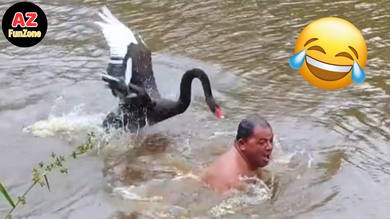 Best Funny Videos Of The Year - Fails & Hilarious Moments 😂🤣 Try Not To Laugh #18
