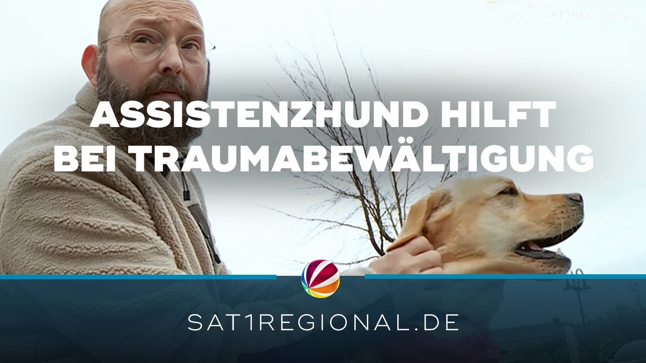 Assistenzhund hilft Kriegsveteran bei Traumabewältigung