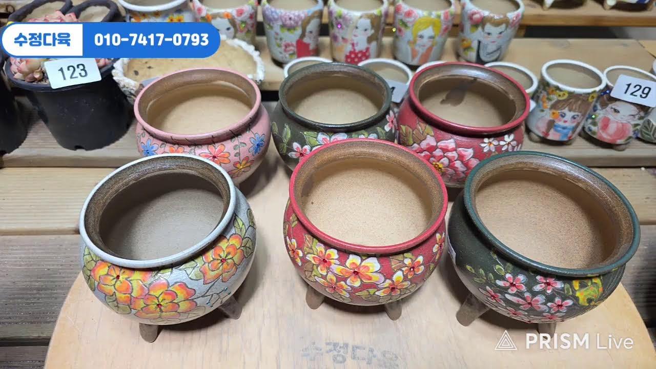 설명절 맞이 할인/특가(오늘만)♡ #라이브 방송 2월 14일 #수정다육 010.7417.0793 #다육식물 #화분 #수제화분 #키핑 #에오니옴 #코노피튬 #라울