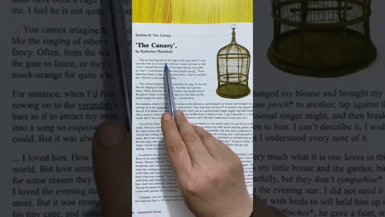 Literature Focus. ( The Canary)