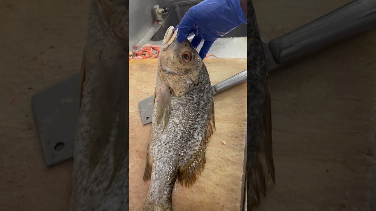 Amazing Janaha fish cutting skills #shorts #shortvideo #shortsviral #youtubeshort