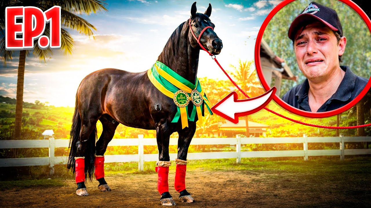 A QUEDA de um CAMPEÃO ( Peão de Sorte Ep.1 )