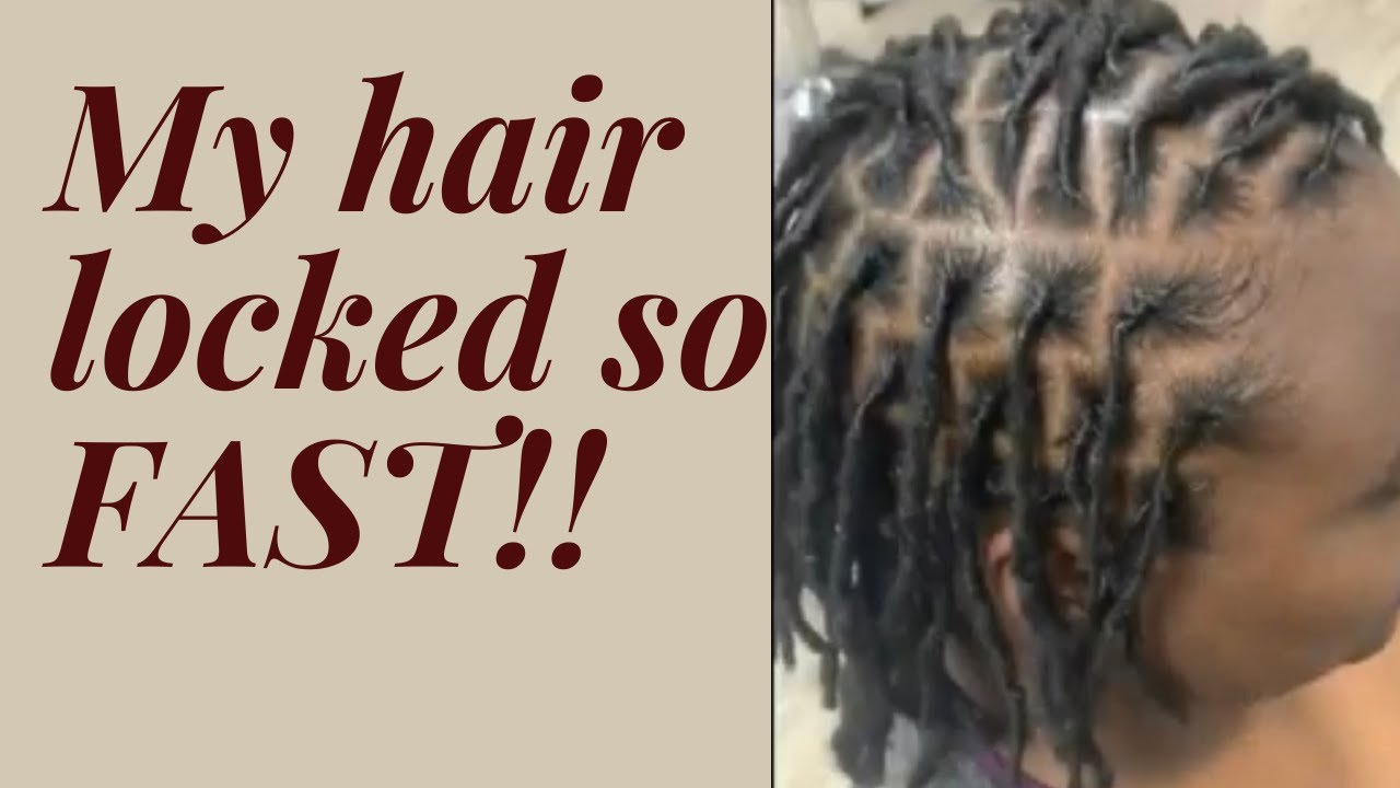 Locs 6 weeks!! Before and after retwist