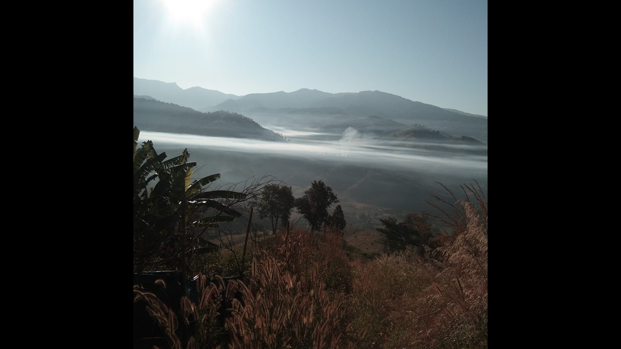 Tham pem xov xwm yav lig 2/19/26