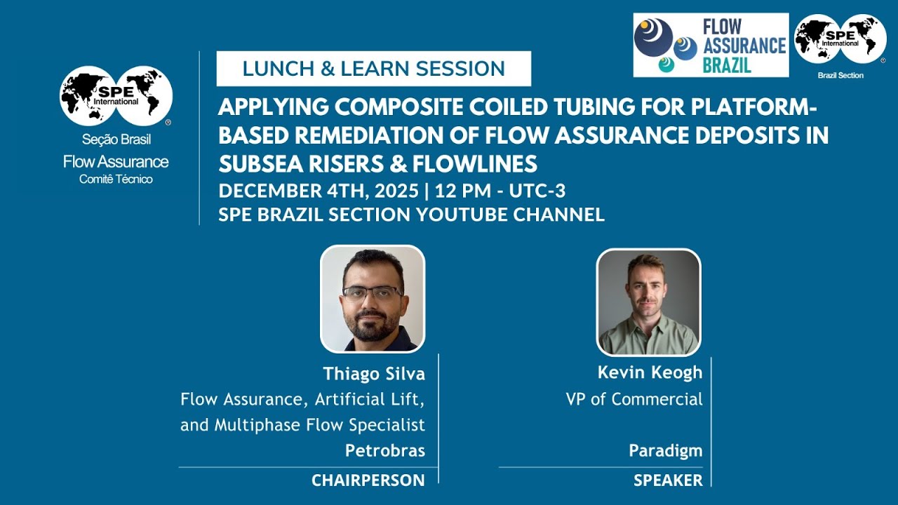 Lunch & Learn - Flow Assurance SPE Brazil