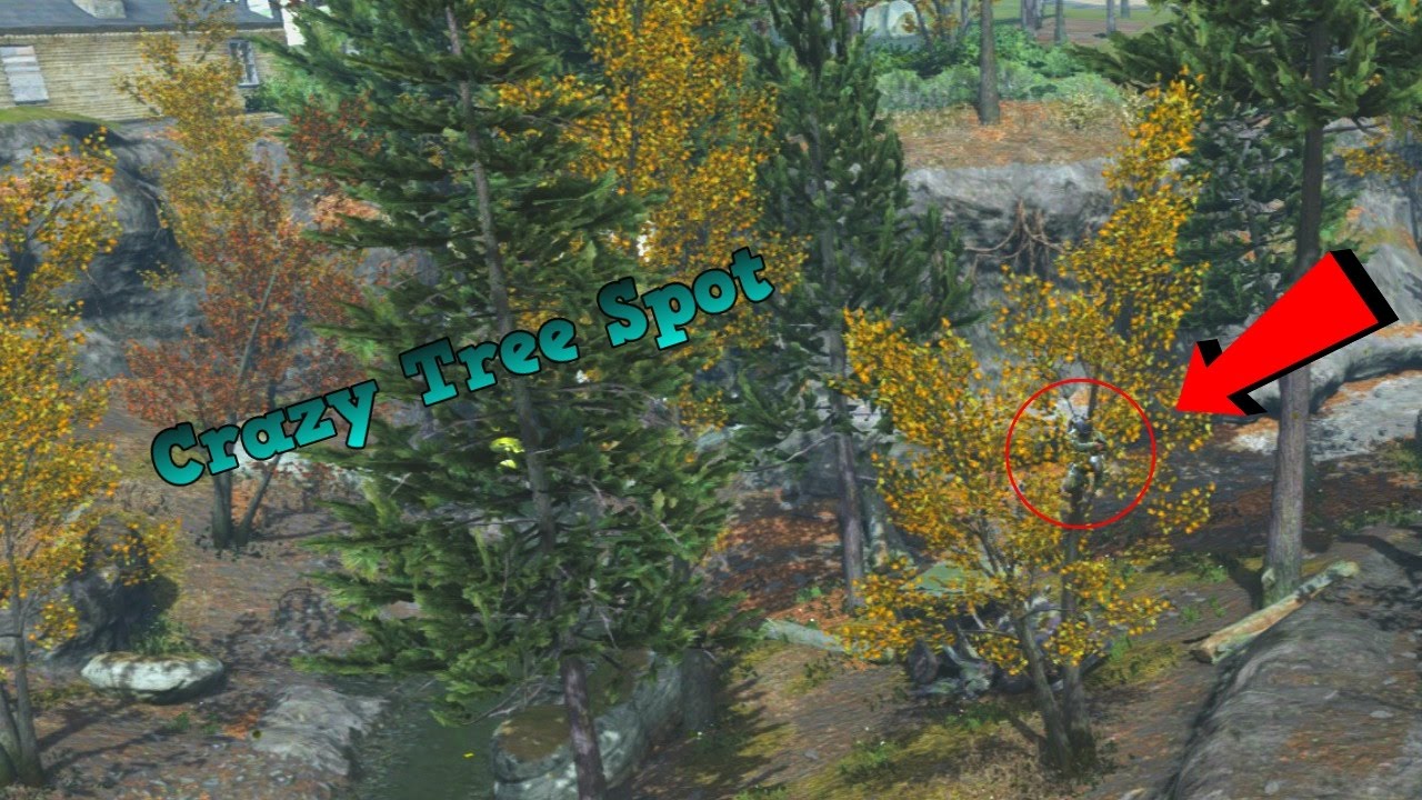 Creek Tree Spot-Modern Warfare Remastered