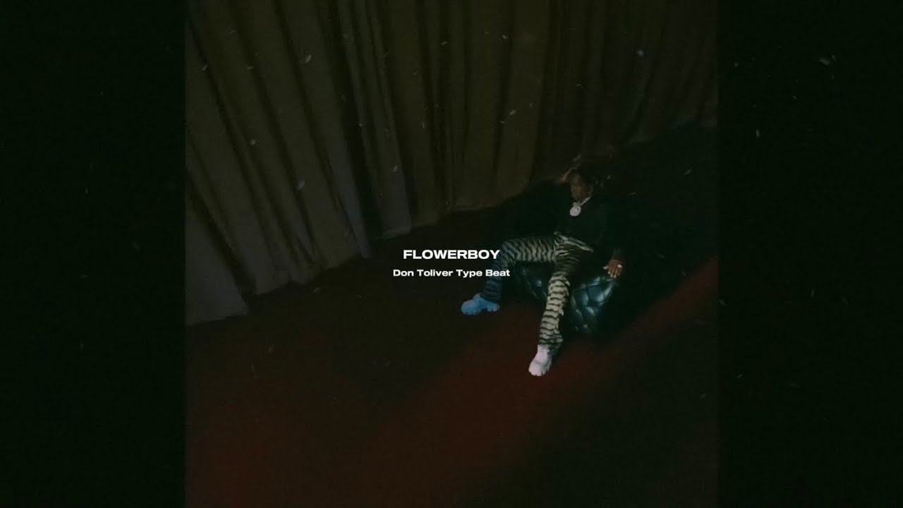 [FREE] Don Toliver Type Beat “FlowerBoy”