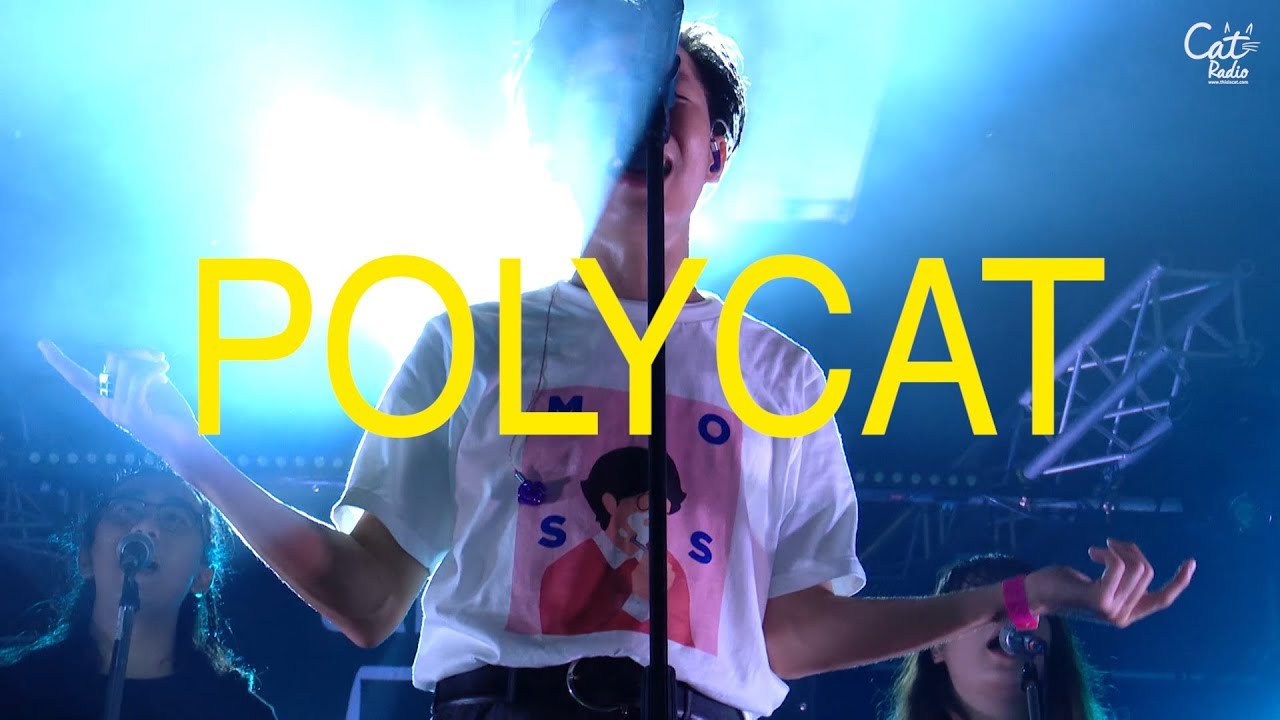 POLYCAT @ CAT T SHIRT 5