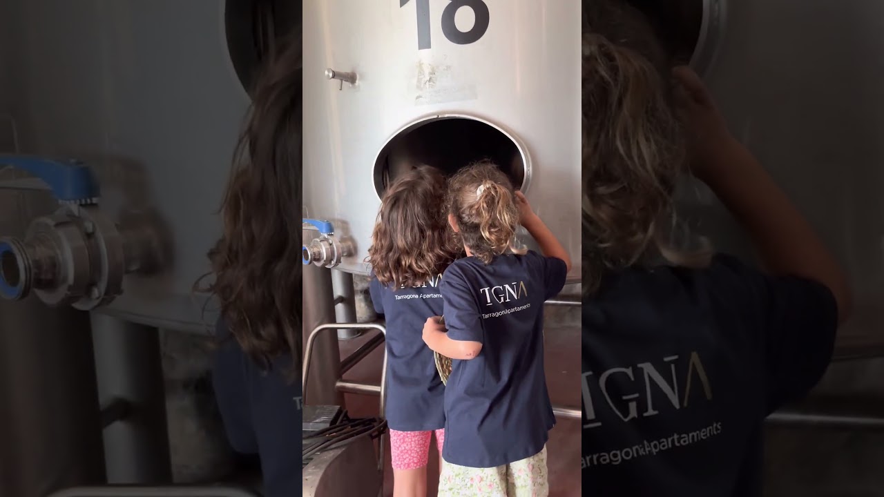Enoturisme a Tarragona: celler Mas Vicen&ccedil;