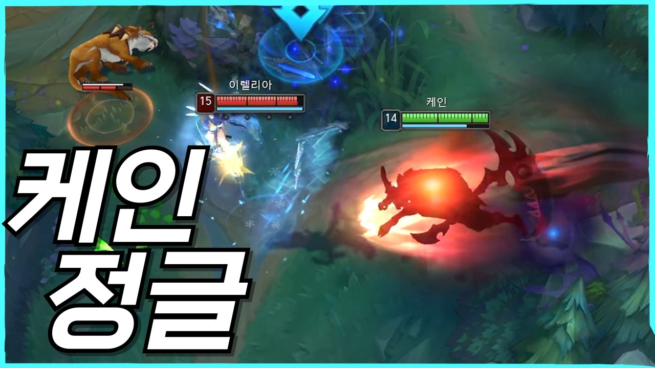 케인 정글 재밌네요
