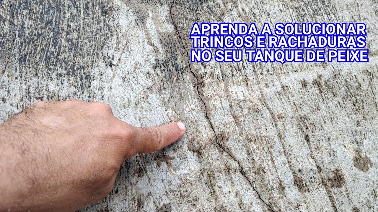 APRENDA SOLUCIONAR TRINCOS E RACHADURAS DO SEU TANQUE DE PEIXE