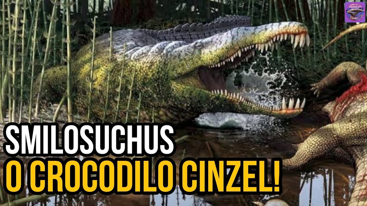 SMILOSUCHUS: O Crocodilo Cinzel!!! | Animais Pré-Históricos