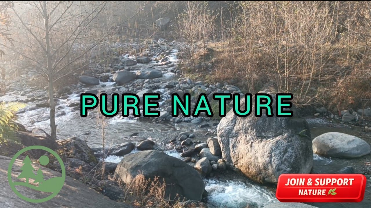 Pure River Flow | Natural Water Sounds for Deep Relaxation